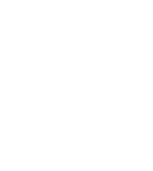 pi group logo